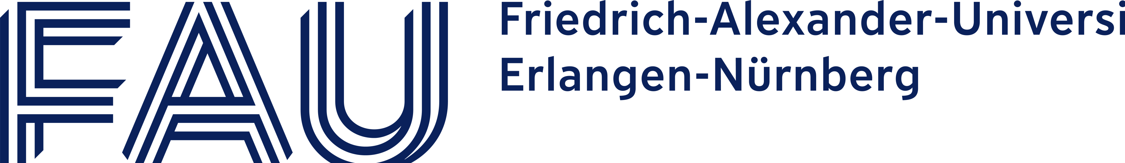 FAU_Kernmarke_Q_blue_RGB
