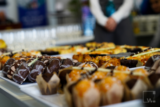 Picture173_LEGAL_REVOLUTION_2023